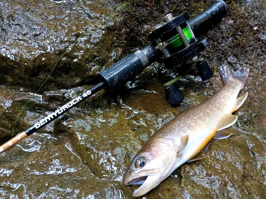 渓流 源流 フィッシング 探検 冒険 テレスコロッド
