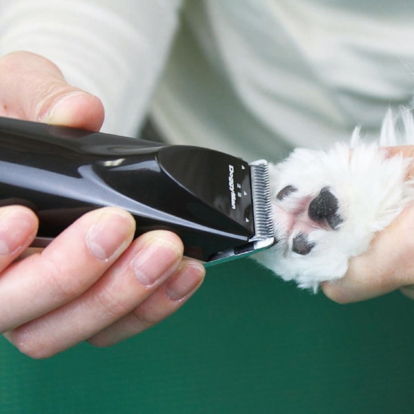 送料無料】メーカー欠品中 次回4月下旬入荷予定です ドギーマン ホーム