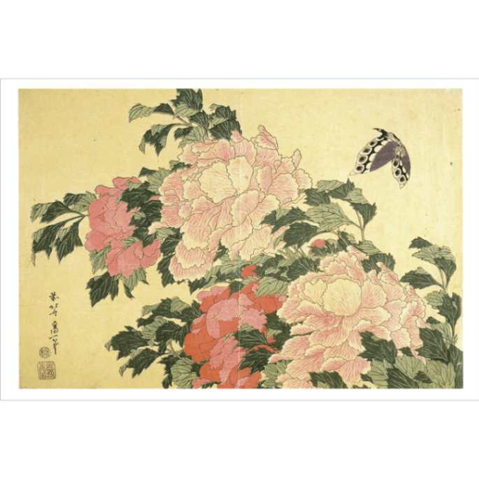 絵はがき〈牡丹に蝶〉葛飾北斎 TB-018京都便利堂オンラインショップ