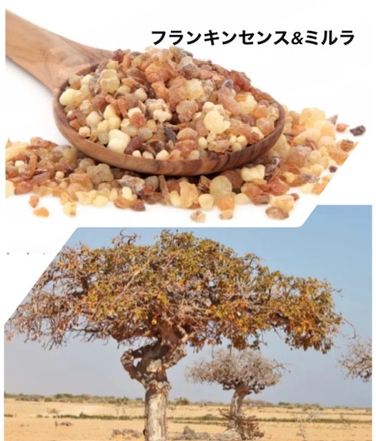 2_000000001778.jpg?1736915701