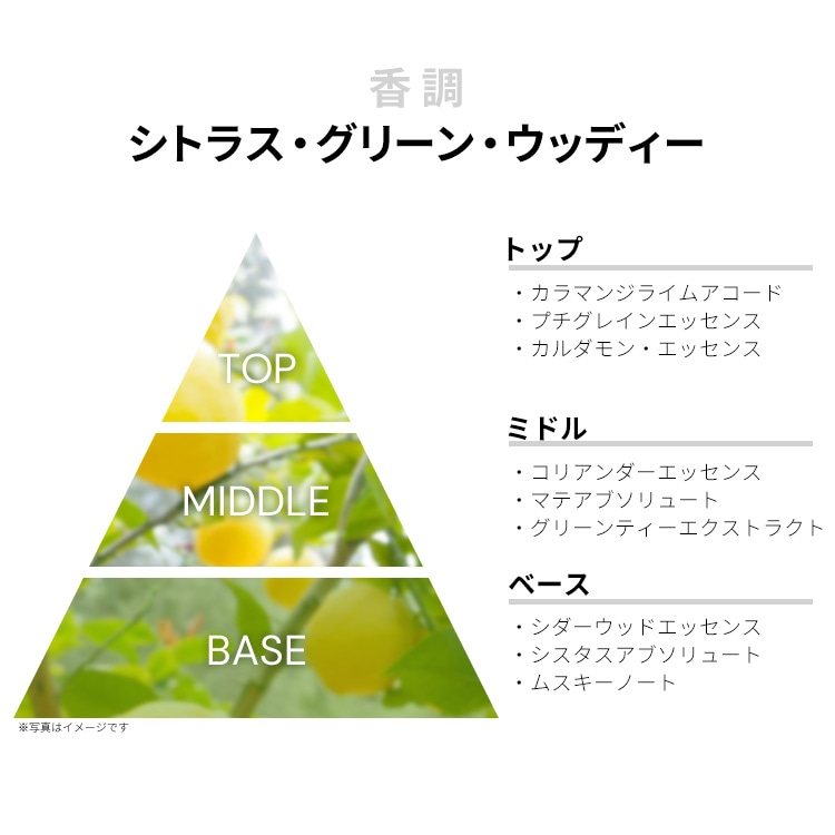メゾン マルジェラ レプリカ アンダー ザ レモン ツリー EDT・SP 100ml