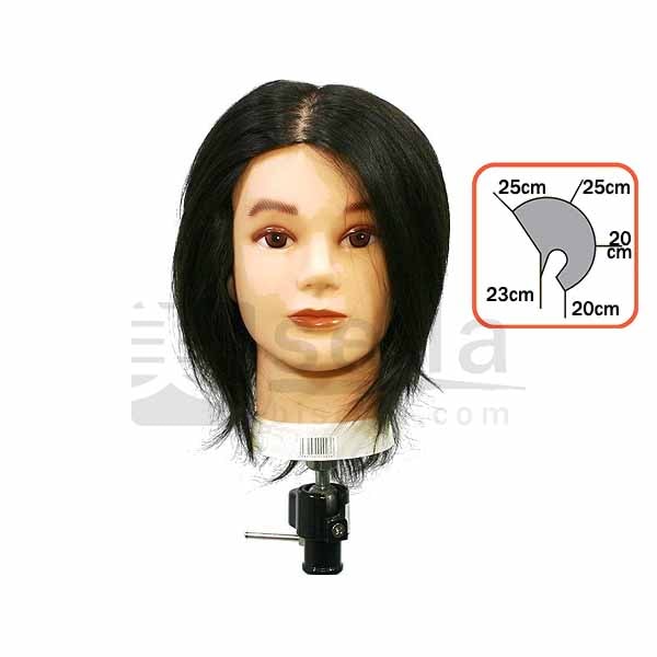 カットマネキン メンズX(エックス) 人毛ウィッグ ハチ約55㎝ カット