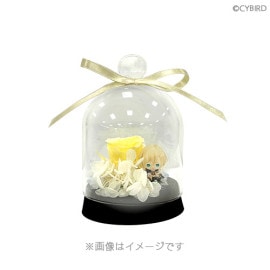 ノクト 3rd Anniversary 運命のローズドームセット【イケメン王子