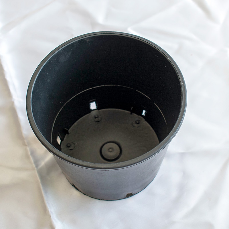 RP16】【5号】 ナーセリーポット16size | 一般のお客様向け | 大樹