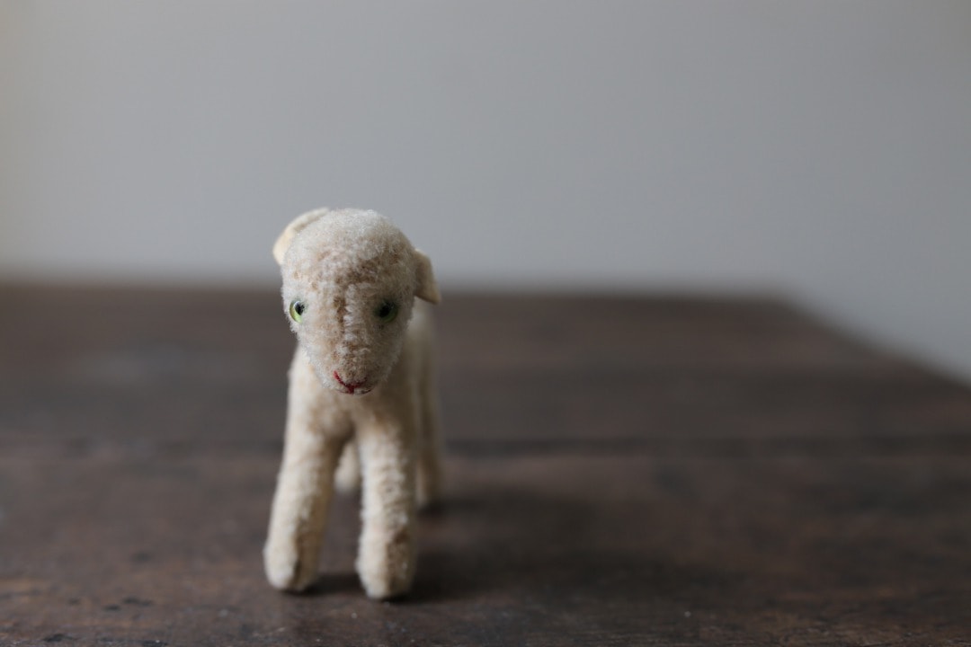 シュタイフ 羊の“ランビー” ｜ D+EMARKET Online