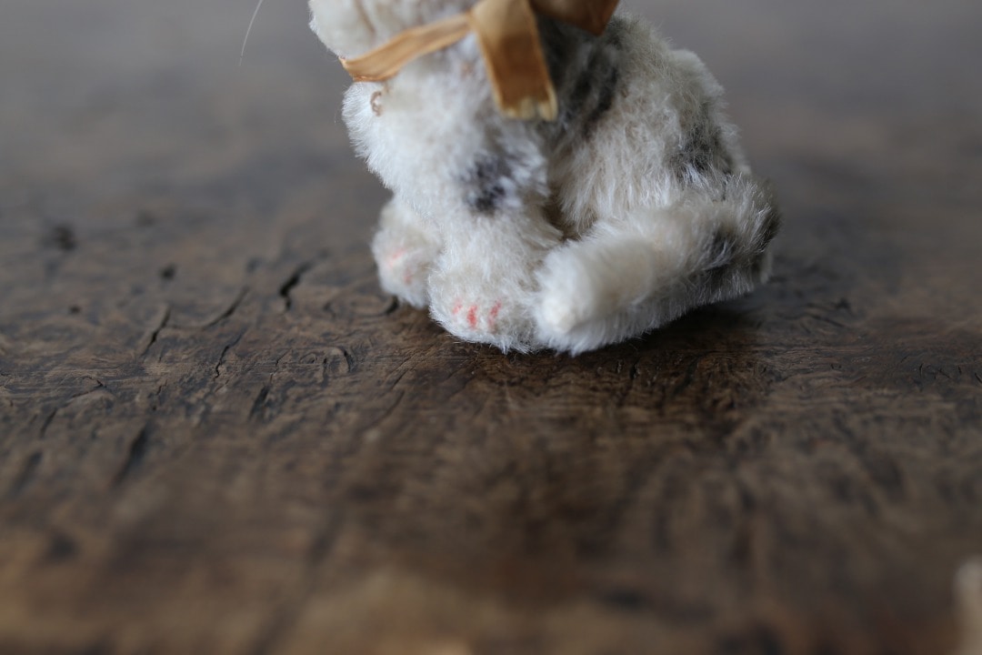 シュタイフ 猫の“スージー” ｜ D+EMARKET Online