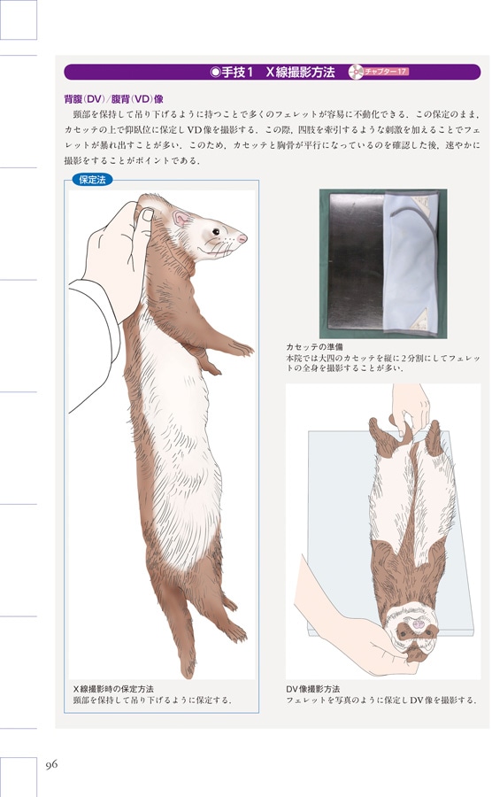 エキゾチック臨床シリーズ Vol.2 フェレットの診療 診療法の基礎と臨床