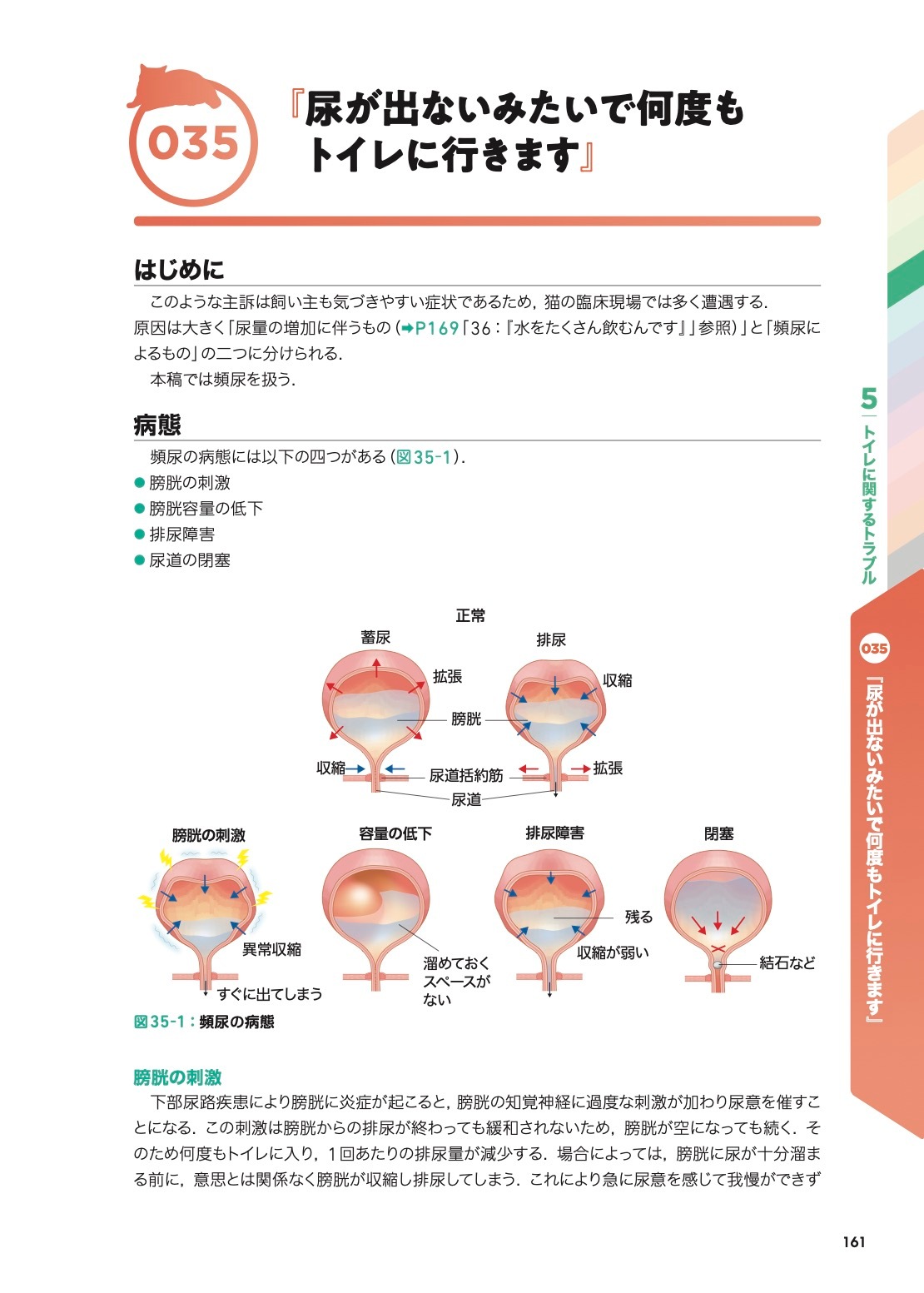 こう考える！ 猫の主訴100から紐解く診療ハンドブック | 臨床獣医学