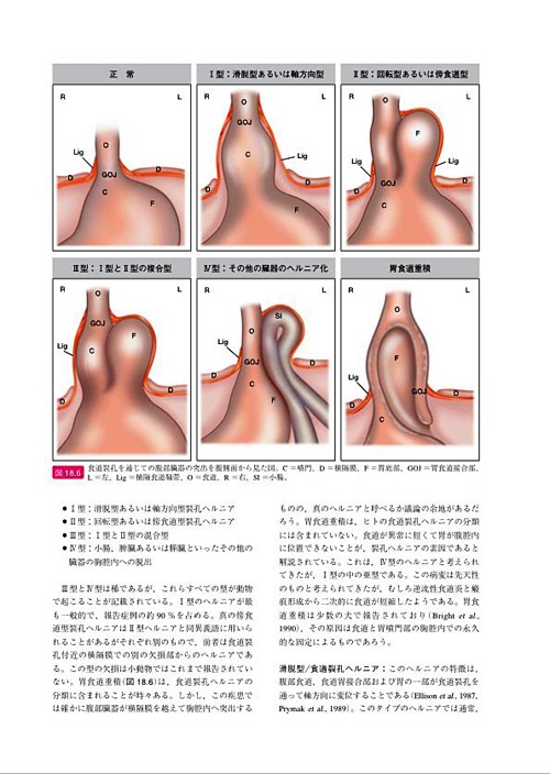 BSAVA 犬と猫の頭・頸・胸部の外科マニュアル | BSAVAマニュアル