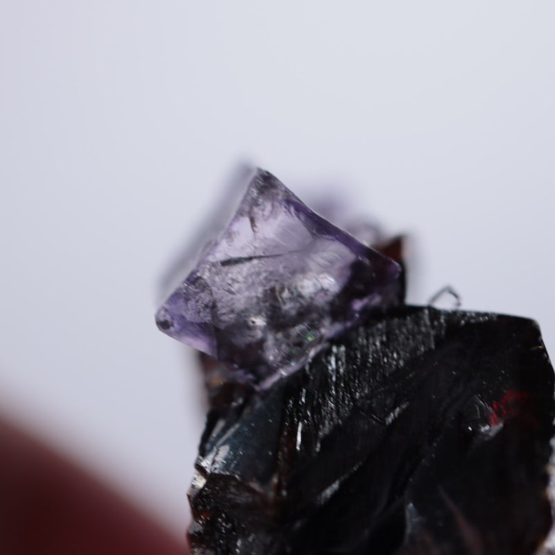 エルムウッド鉱山 フローライト、スファレライト | 鉱物標本,サ行