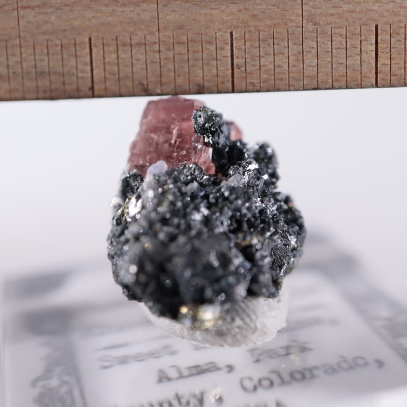 スウィートホーム鉱山 ロードクロサイト | 鉱物標本,ラ行,ロードクロ