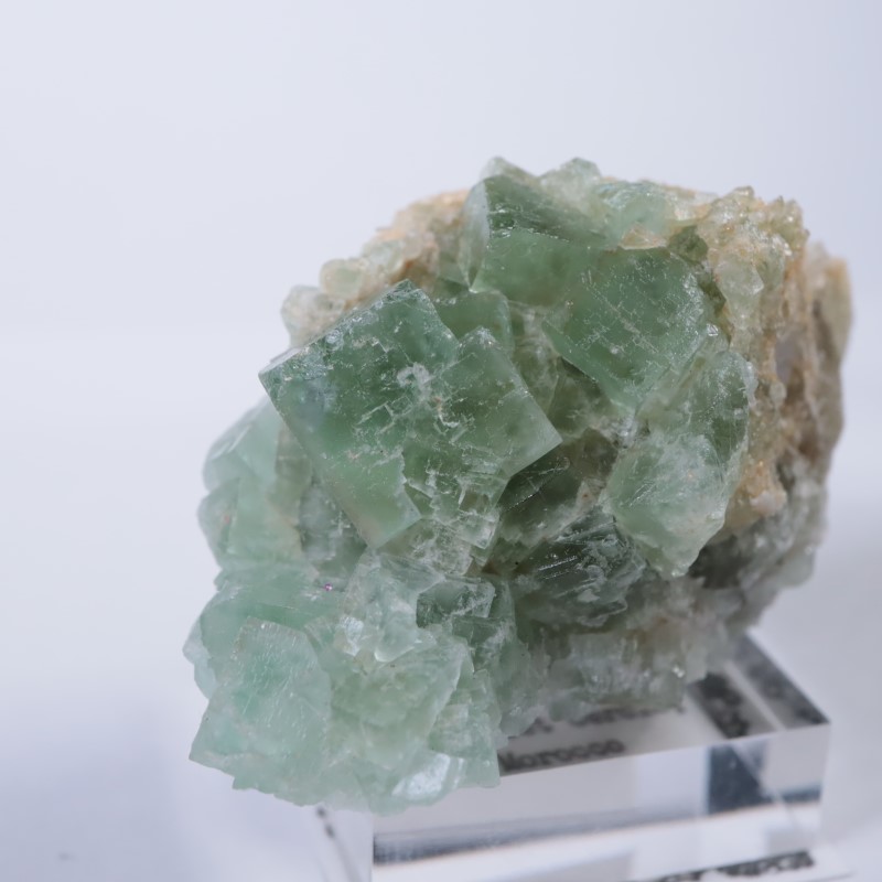 El Hammam鉱山 フローライト | 鉱物標本,ハ行,フローライト/蛍石