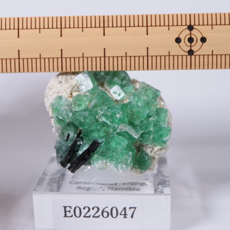 エロンゴ鉱山 フローライト | 鉱物標本,ハ行,フローライト/蛍石