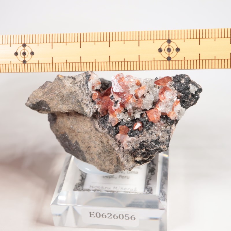 ペルー産 ロードクロサイト | 鉱物標本,ラ行,ロードクロサイト/菱