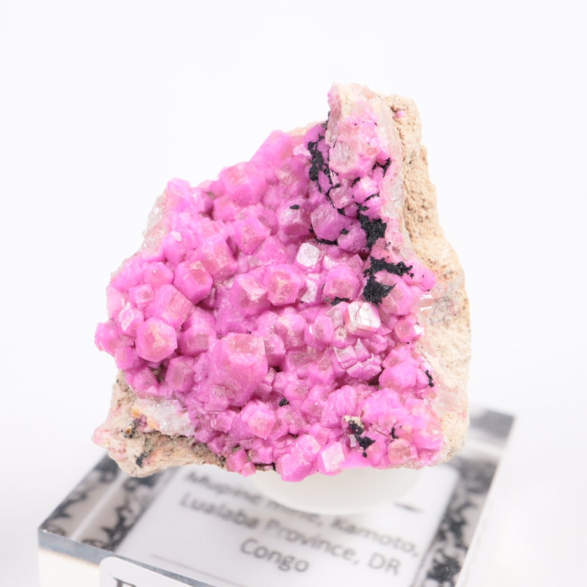 コンゴ産 コバルトカルサイト | 鉱物標本,カ行,カルサイト/方解石