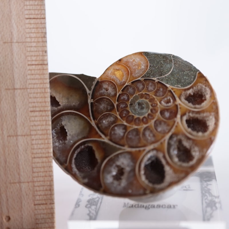 3_000000003608.jpg?1678209904