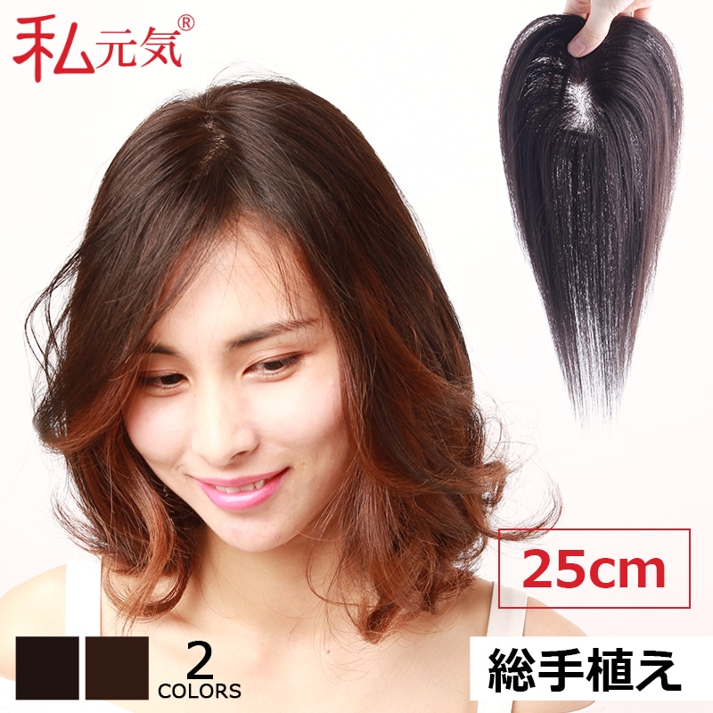公式】私元気ウィッグ専門店 | 総手植え 通気性 人毛 【25cm】 部分
