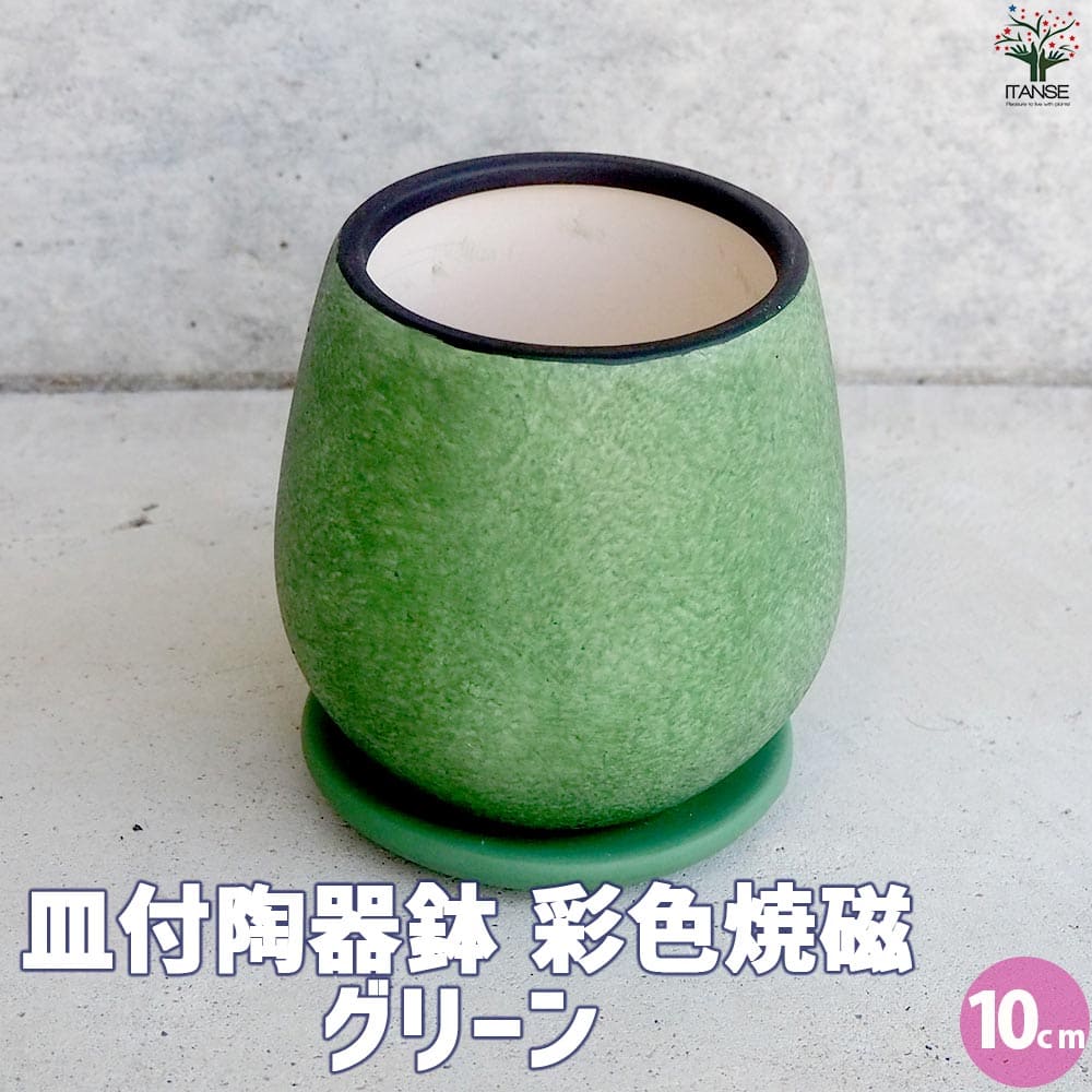 皿付陶器鉢 彩色焼磁 グリーン【資材 10cm】｜ 【植物のITANSE