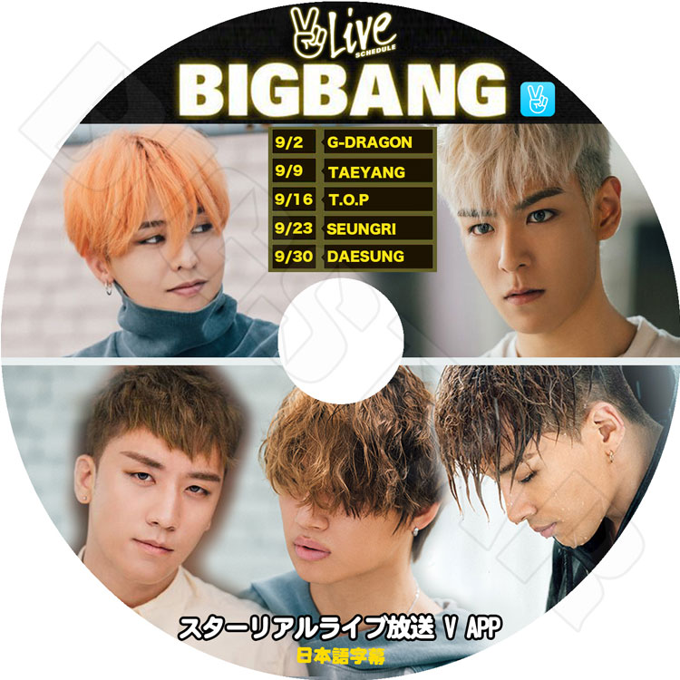 K-POP DVD】BIGBANG V LIVE集【日本語字幕あり】1+1はジヨン/今食べに