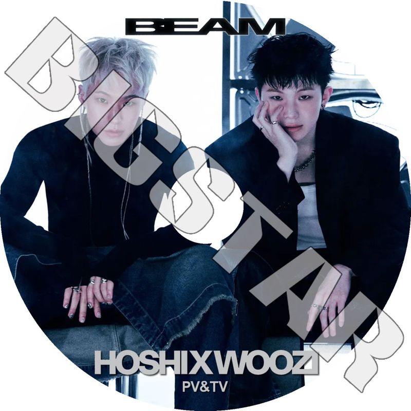 K-POP DVD Seventeen HOSHI x WOOZI 2025 PV/TV - 96ers STUPID IDIOT