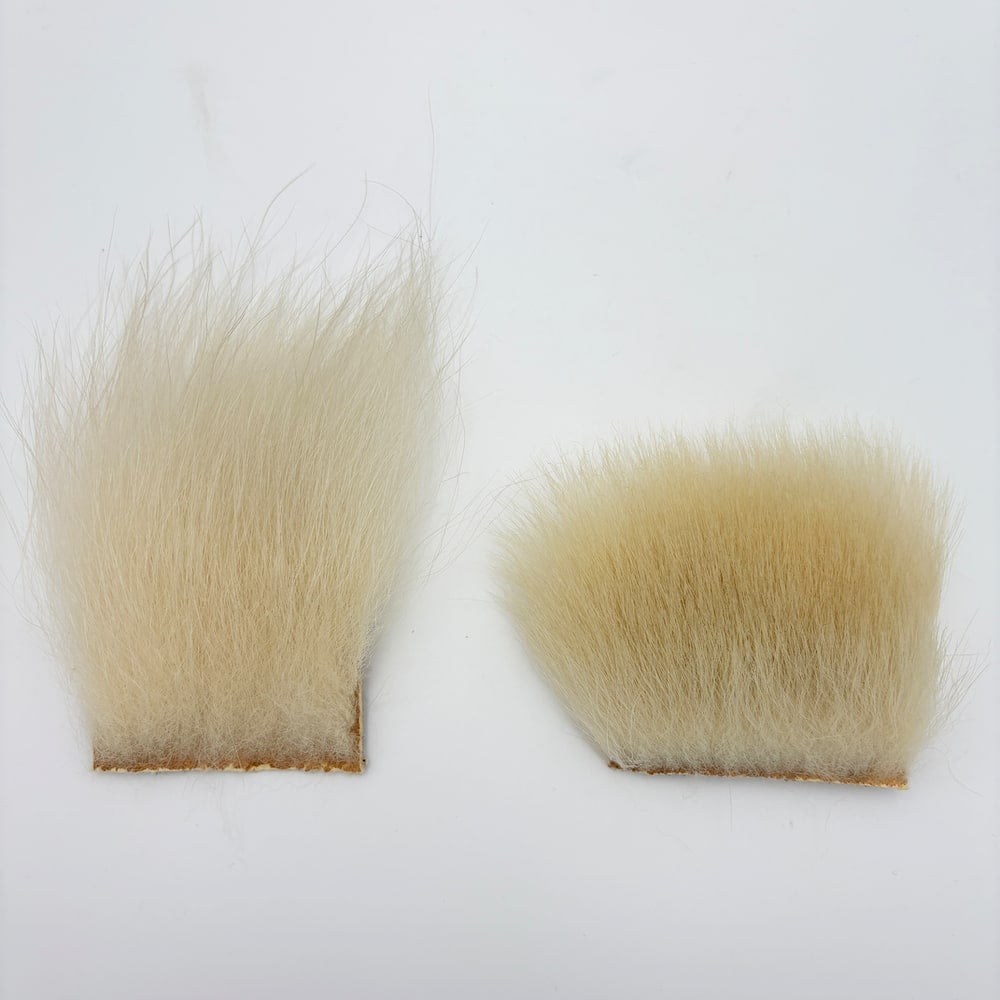 KEN-CUBE 極上ポーラーベアー