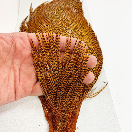 メッツ METZ コックハックルケープ #2 Lt.Ginger KEOUGH ハックル