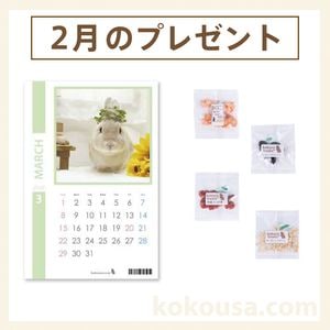 チカラのちから 80錠の通販はココロのおうち