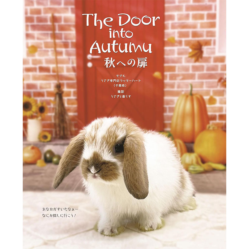 うさぎと暮らす No.97 2025年 Autumnの通販はココロのおうち