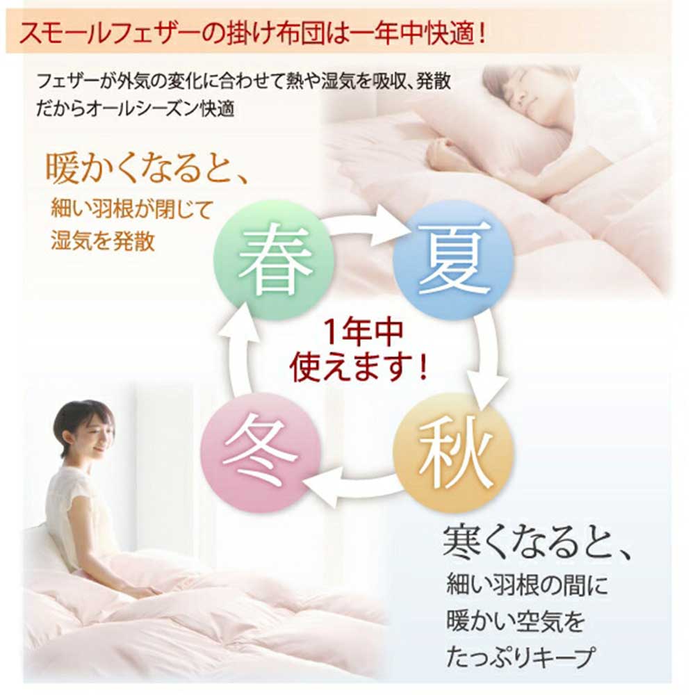 布団セット ダブル 11点セット 布団 羽根布団 a101019040203002（商品