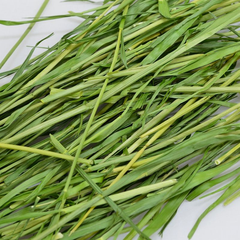 2025高原の朝採り牧草「麦」ヤング 450g ※2025年8月22日発売 ※1週間