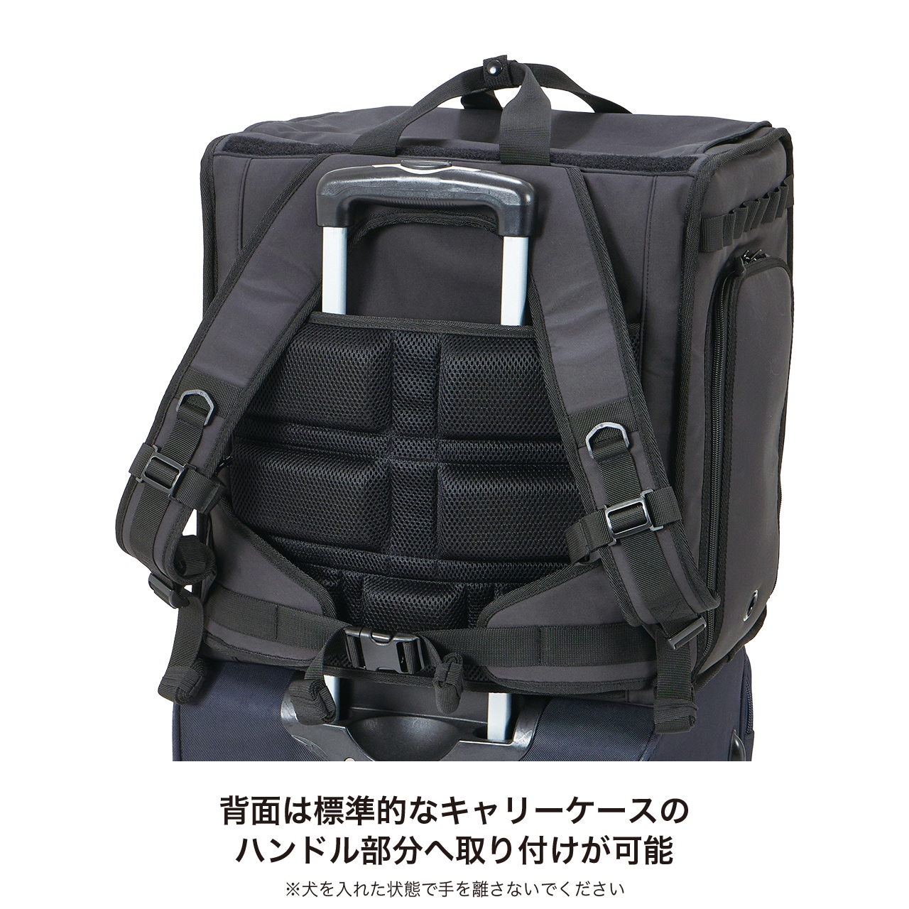 DAILY EXPANDABLE BACKPACK | CARRY BAG | 犬服 MANDARINE BROTHERS