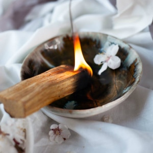 パロサント香（Palo Santo Insence） 天然香木スティック｜マライカ