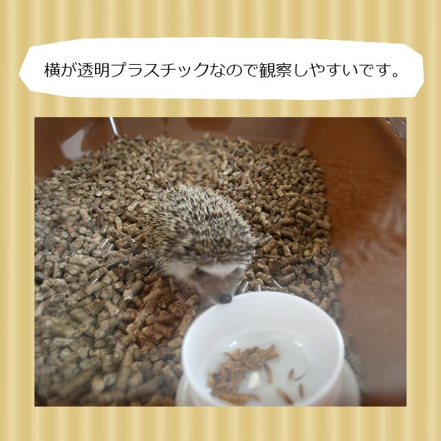 CASA マルチプレイス ハリネズミ専用ケージ おしゃれ マルカン 【大型