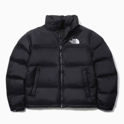 国内未発売 THE NORTH FACE ダウンジャケット M'S 1996 ECO NUPTSE