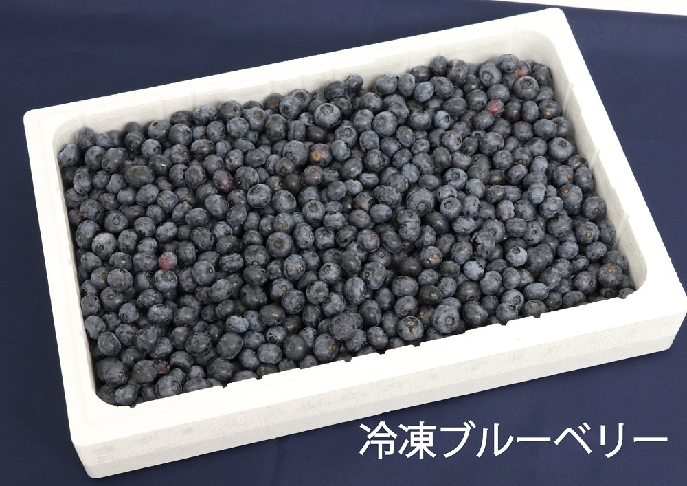 予約販売】二戸産ブルーベリー※受付終了 | 季節商品,ブルーベリー | な