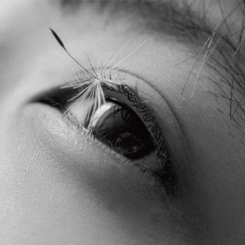 カネコアヤノ / 祝祭 ひとりでに | CD,日本,ポップス / シティポップ