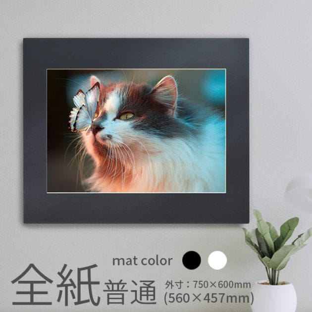 写真用額縁 9586/ホワイトシルバー 写真全紙（560×457mm） 前面UV