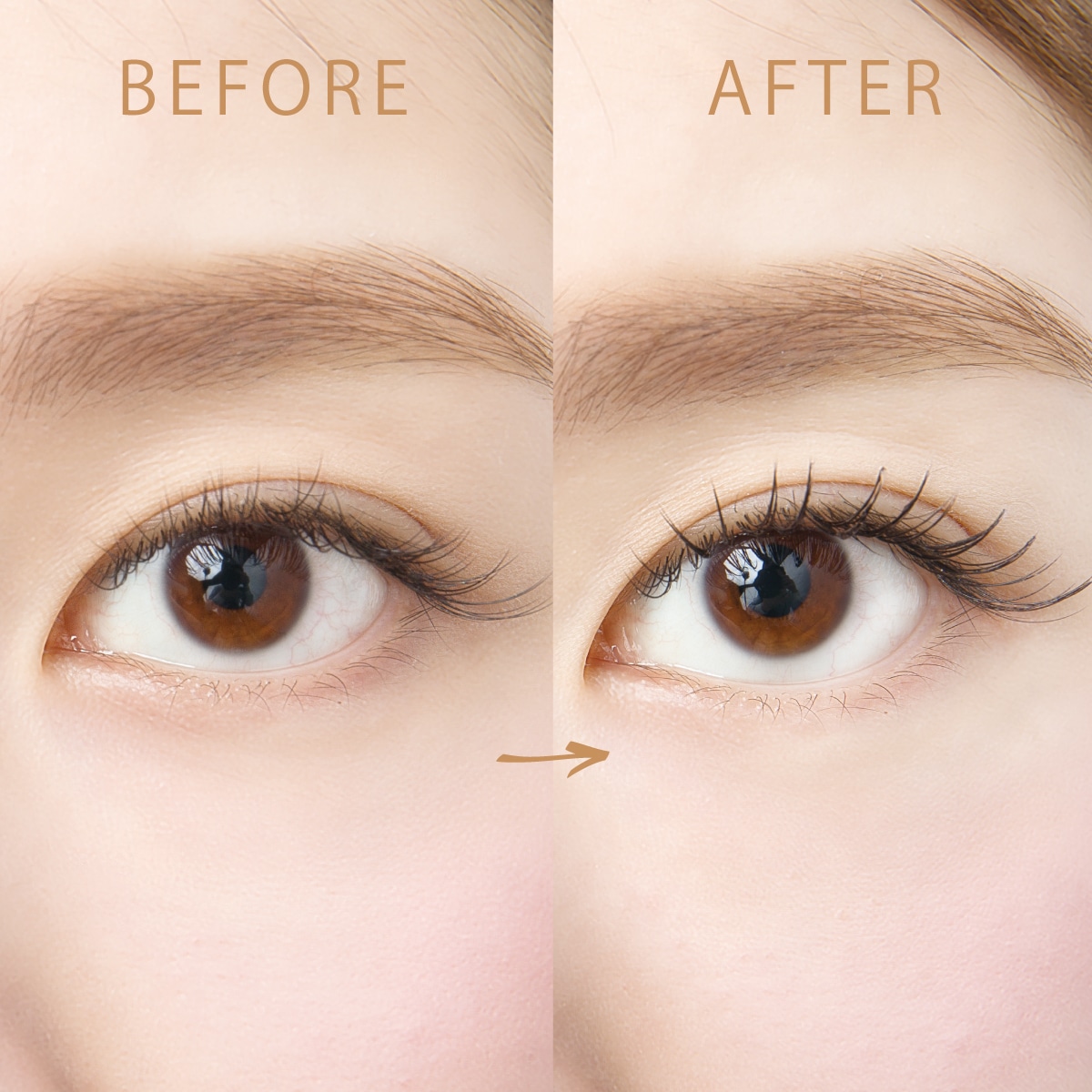 5_000000000839.jpg?1748584135