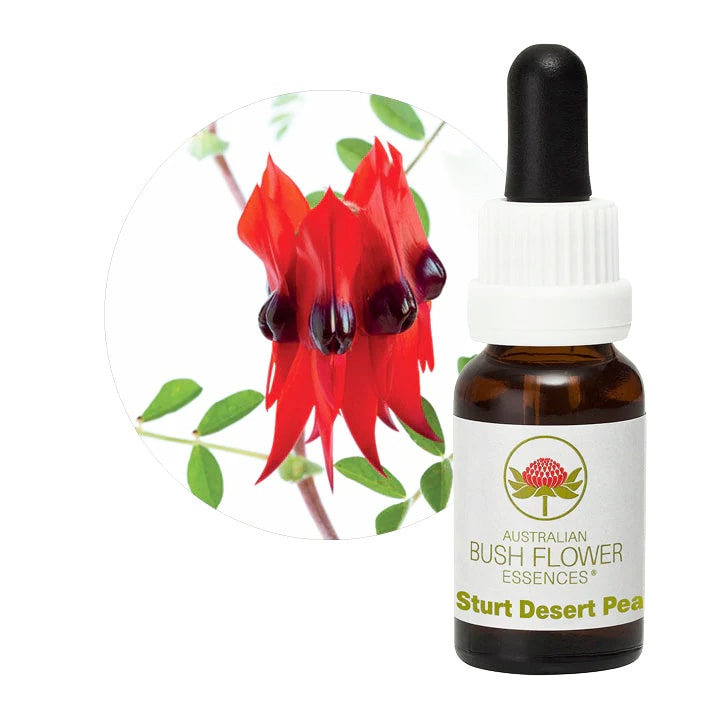 ECストロングスプレー詰替用200ml[Energy Cleansing Strong Spray