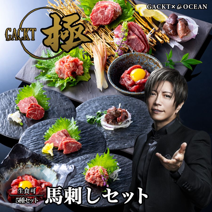 GACKT 極 シリーズ