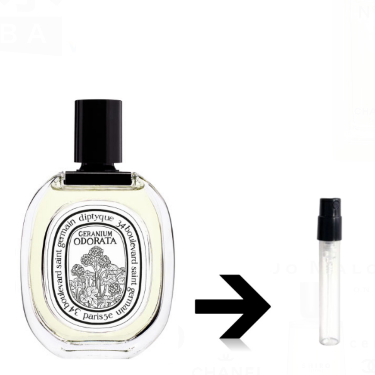 ゼラニウム オドラタ オードトワレ ディプティック diptyque