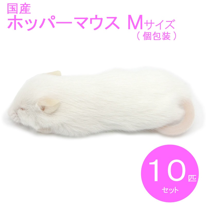 冷凍マウス ホッパーM 10匹 国産 SAfarm | 冷凍マウス,ホッパー