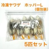 冷凍ヤワゲ | SAfarm 国産冷凍マウス・ラット専門店