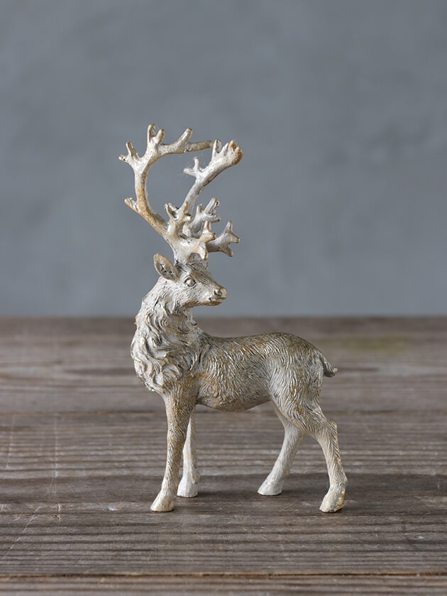 4_000000024390.jpg?1696922393