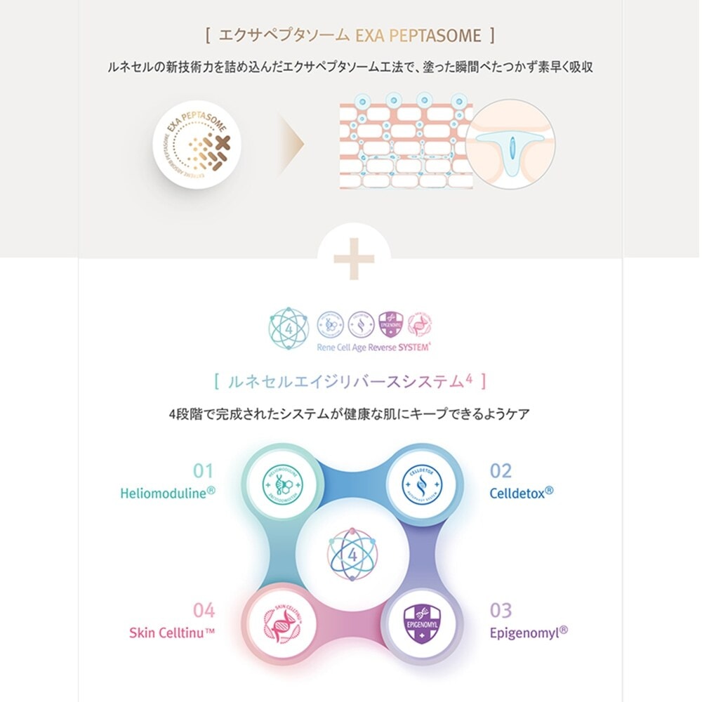 Rene-Cell Absorber Dermal Recovery Serum | ルネセル アブソーバー