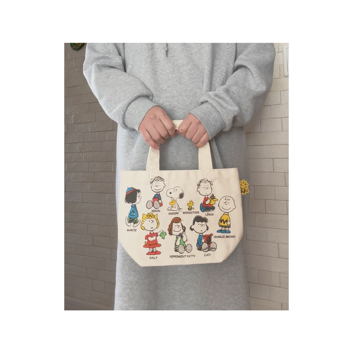 公式] メーカー直営 PEANUTS スヌーピー カラーマチ付きバッグ 集合