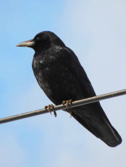 花と光と風と・・・