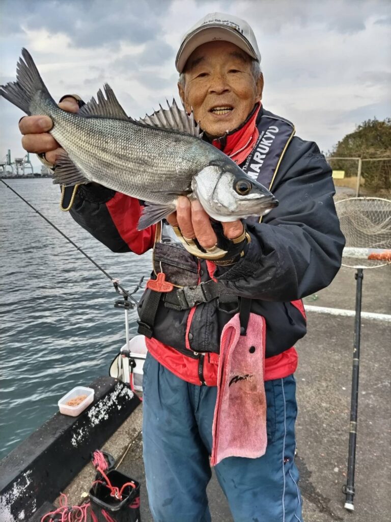 低水温でのチヌ釣り〜大分県乙津港 | マルキユー九州 フカセ釣り情報