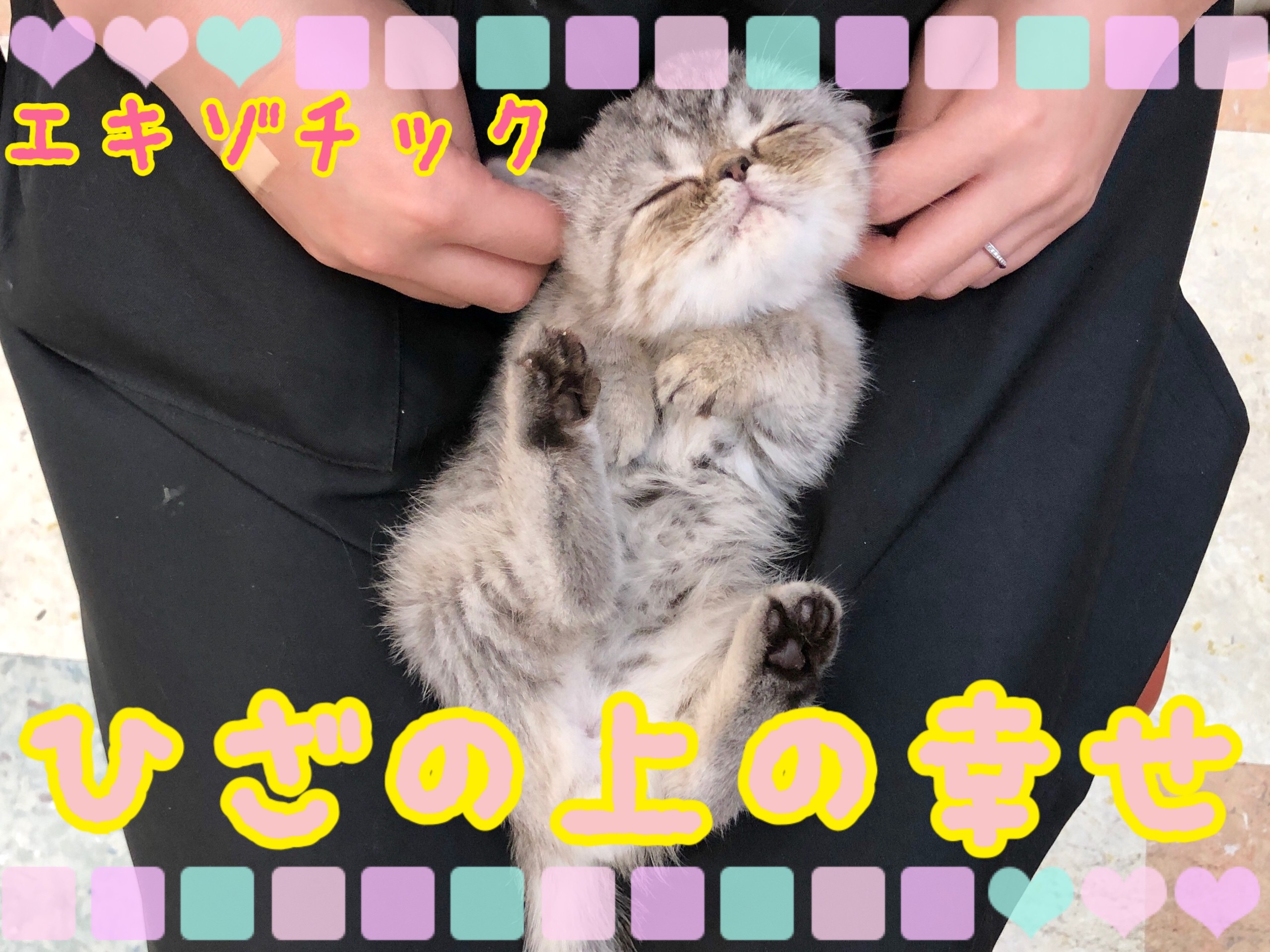 36ce97dc4de287cfb61add0cc594fc