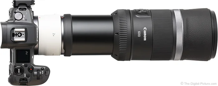 Canon RF 2x Extender Review